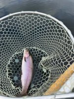IMG_1515.jpeg