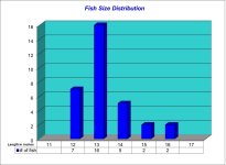Fish Size Distribution 2026-05-07.jpg