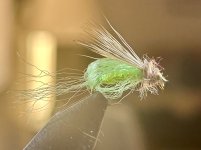 IMG_3903.jpeg
