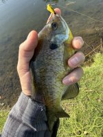IMG_7649.jpeg