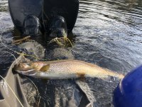 IMG_1180.jpeg