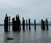 IMG_6798.jpeg