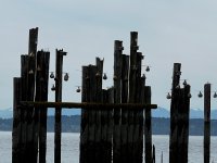 IMG_6799.jpeg