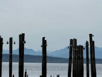 IMG_6800.jpeg