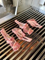 IMG_8179.jpeg