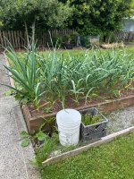 IMG_2045.jpeg