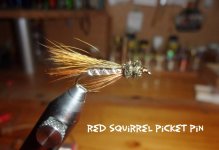 Red Squirrel Picket Pin.jpg