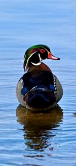IMG_2636.jpeg