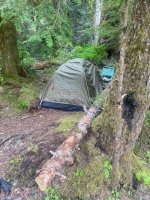 IMG_4731.jpeg IMG_4731.jpeg