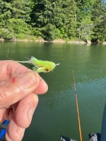 IMG_3319.jpeg