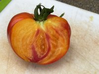 IMG_4373.jpeg