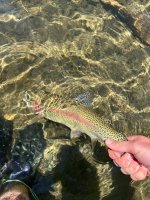 IMG_4665.jpeg
