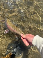 IMG_4653.jpeg