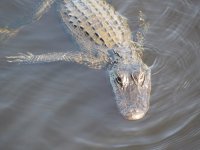 IMG_5436.JPG