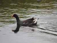IMG_5574.JPG