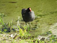 IMG_5519.JPG