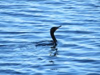 IMG_5521.JPG