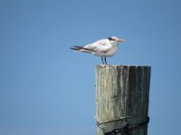 IMG_5624.JPG
