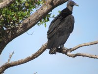 IMG_5447.JPG