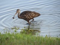 IMG_5477.JPG