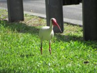 IMG_5582.JPG