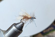 PXL_20260512_200532998.MP.jpg