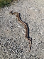 thumbnail (10).jpg