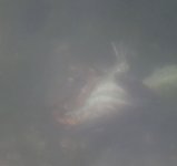 IMG_6844.jpeg