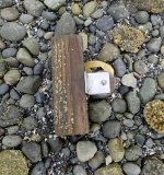 IMG_6846.jpeg