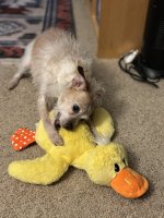 IMG_0937.jpeg