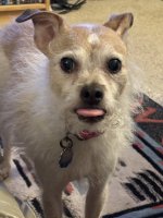IMG_0868.jpeg