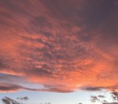 IMG_0804.jpeg