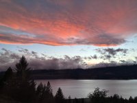 IMG_0805.jpeg