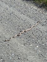 IMG_0819.jpeg