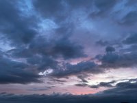 IMG_6869.jpeg
