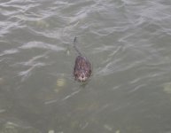 IMG_6878.jpeg