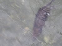 IMG_6879.jpeg