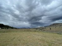 IMG_7437.jpeg
