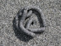 AbarenicolaCast858.jpg