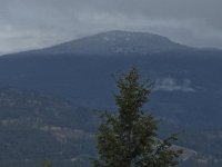 IMG_0842.jpeg