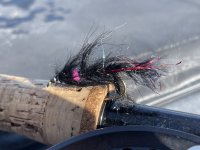 IMG_7420.jpeg