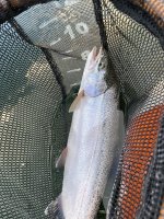 IMG_7404.jpeg