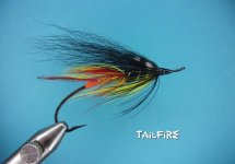 Tailfire.jpg