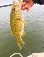 IMG_2965.jpeg IMG_2965.jpeg