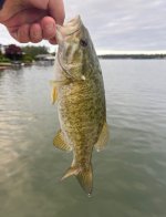 IMG_2964.jpeg IMG_2964.jpeg