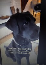1779154825062.png