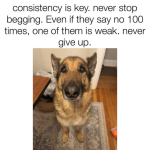 1779155030298.png