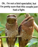 1779215069167.png