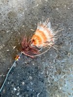 IMG_8206.jpeg