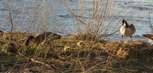 0010-BY-Wildlife-050126.jpg 0010-BY-Wildlife-050126.jpg